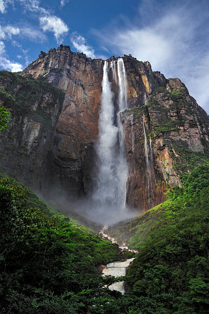 Angel falls catrawarta