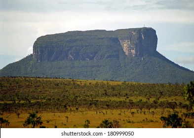 Auyantepuicanaimanationalparkvenezuela260nw180999050 catrawarta