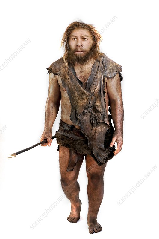 Neanderthal model catrawarta