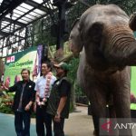 Pendiri taman safari indonesia tsi jansen manansang kiri berfoto bersama gubernur prefektur ehime jepang tokihiro nakamura tengah dan direktur konservasi spesies dan genetik direktorat jenderal konservasi sumber daya alam dan ekosistem ksdae kementerian kehutanan ahmad munawir kanan saat kerjasama internasional program cooperative breeding untuk konservasi orangutan di tsi cisarua bogor jawa barat jumat 1612026 Tsi memperkuat kerja sama dengan jepang dalam upaya konservasi satwa orangutan melalui program cooperative breeding yang bertujuan meningkatkan satwa orangutan dan mencegah kepunahan serta membina hubungan baik antara indonesia dan jepang Antara megapolitanarif firmansyah