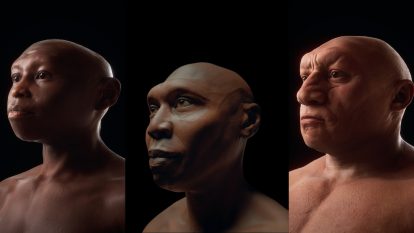 Ilustrasi Perbedaan dalam Genus Homo.