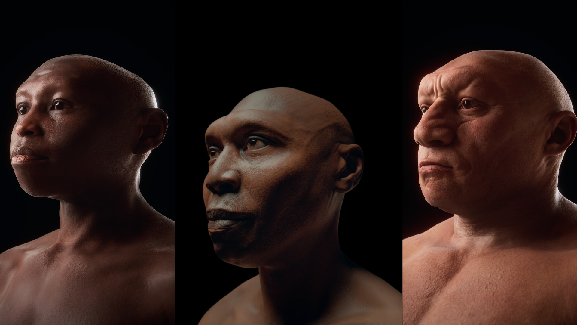 Ilustrasi perbedaan dalam genus homo catrawarta Ilustrasi perbedaan dalam genus homo