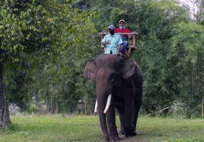 15bgajah catrawarta