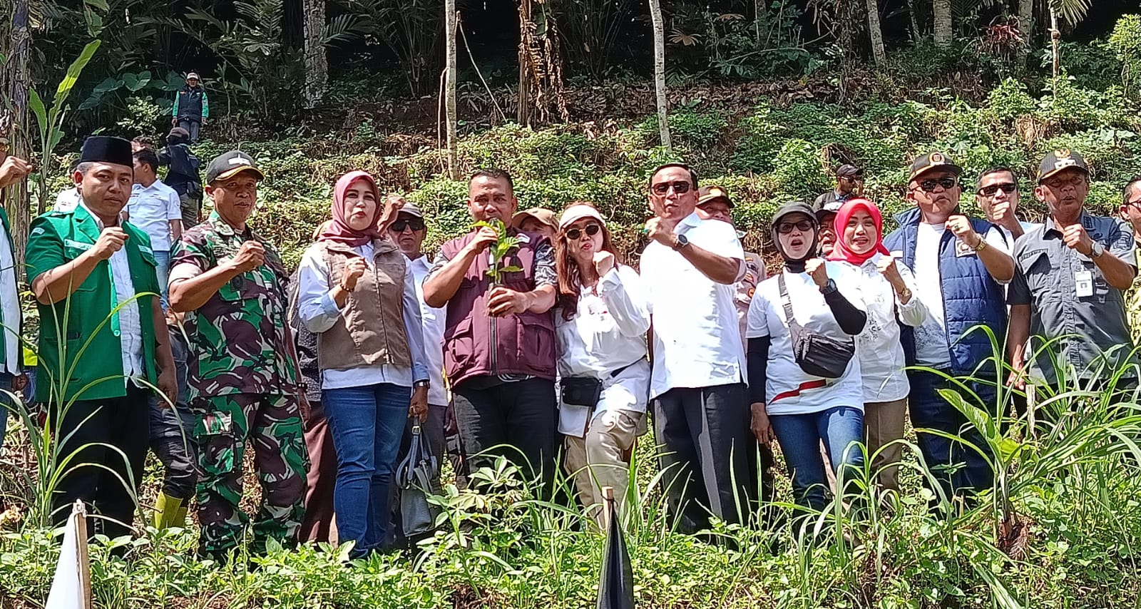 Gan dan jatubu catrawarta