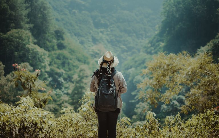 Setiap tanggal 16 Maret diperingati sebagai Hari Rimbawan, sebuah momentum untuk mengapresiasi para profesional kehutanan—mulai dari peneliti, penyuluh, pengelola kawasan hutan, hingga petugas lapangan yang menjaga kawasan hutan di wilayah terpencil.