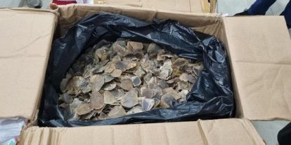 Ribuan keping sisik trenggiling diamankan aparat dalam penggagalan penyelundupan sekitar tiga ton sisik di Pelabuhan Tanjung Priok. Sumber: berita Borneo