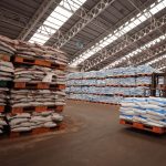 Warehouse with tall pallets stacked with white bags a forklift moves a pallet in the foreground
