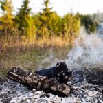 Smoldering log on burnt ground in a grassy field with smoke rising and trees in the background