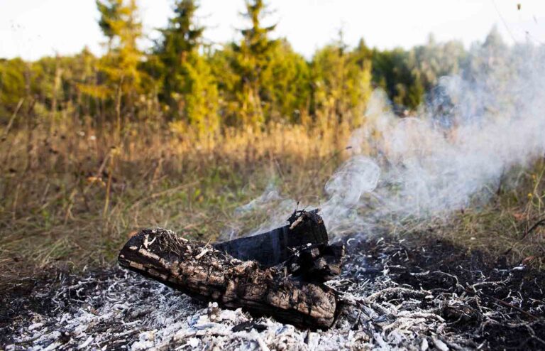 Smoldering log on burnt ground in a grassy field with smoke rising and trees in the background.