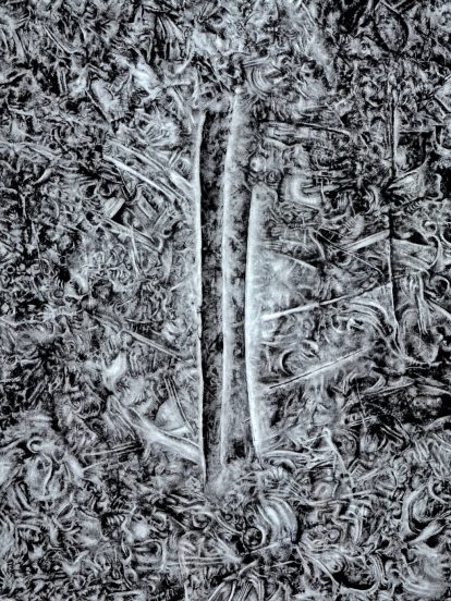 Two slender tree trunks stand side by side in a bed of textured fallen leaves, creating a vertical split in the scene.