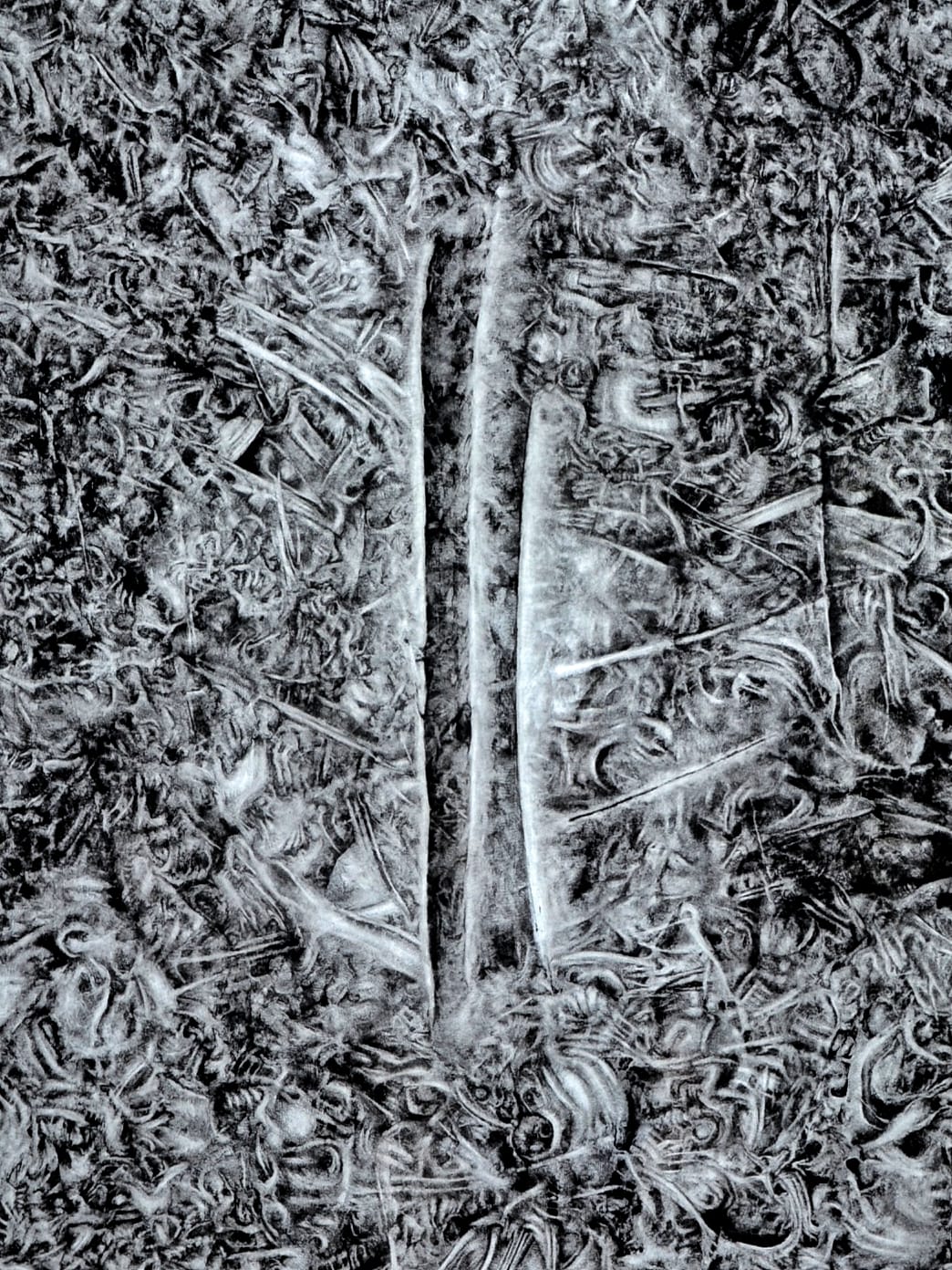 Two slender tree trunks stand side by side in a bed of textured fallen leaves creating a vertical split in the scene