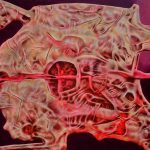 Red toned abstract cross section of a human head showing prominent blood vessels through the skull and brain area against a dark background