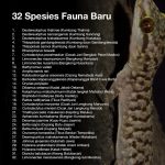 Daftar fauna baru yang ditemukan brin sepanjang tahun 2025
