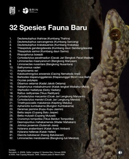Daftar fauna baru yang ditemukan brin sepanjang tahun 2025 catrawarta Daftar fauna baru yang ditemukan brin sepanjang tahun 2025