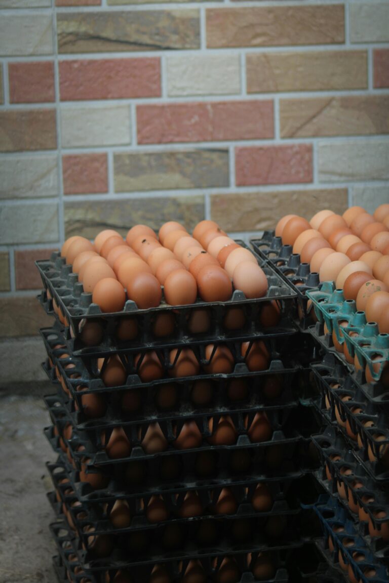 Stacks of black plastic egg trays filled with brown eggs placed against a brick wall outside.