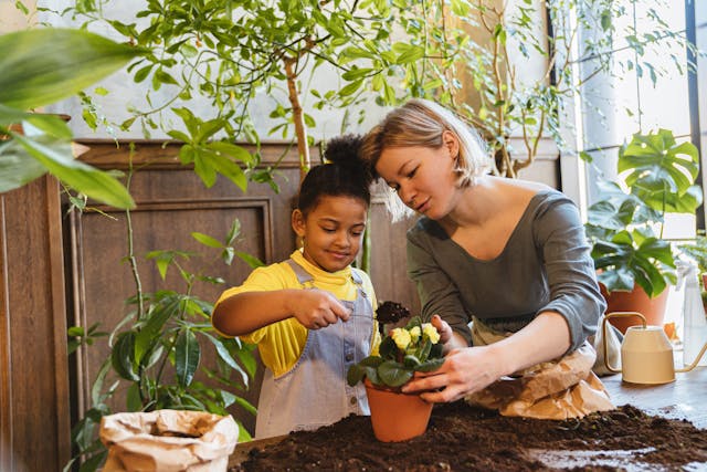 A woman helps a young girl plant flowers in a small terracotta pot indoors with soil on the table and greenery around them
