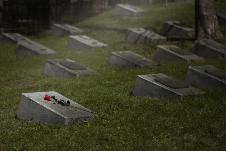Gravestones scattered on a grassy cemetery; a single red rose rests on the foreground marker.