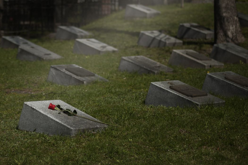 Gravestones scattered on a grassy cemetery a single red rose rests on the foreground marker
