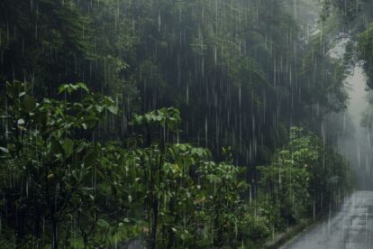 Heavy rain falls on a lush green forest beside a wet road.
