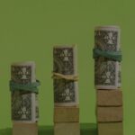 Stacks of rolled dollar bills bound with rubber bands on wooden blocks increasing in height from left to right against a green background growthsavings