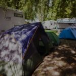 Row of colorful tents set up beside parked campers in a sunny wooded campsite惯