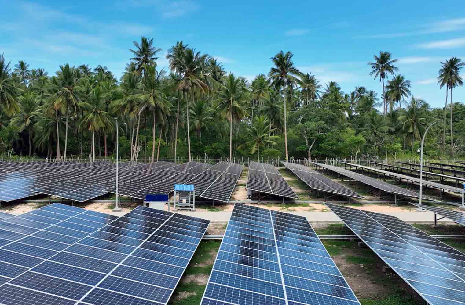 Rows of solar panels in a tropical field with palm trees and a blue sky