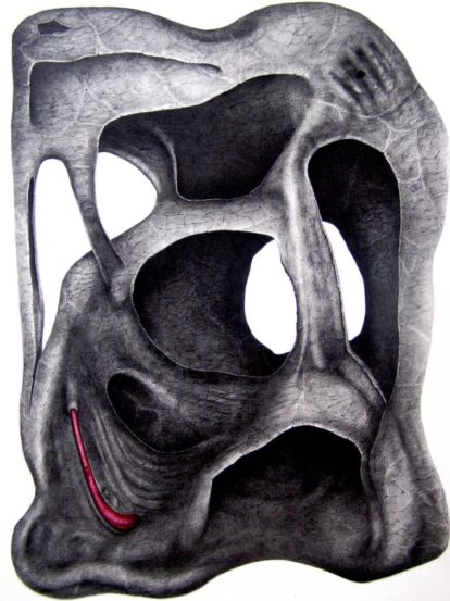 An anatomical illustration of a human pelvic bone with a red curved structure along the lower edge, highlighting a nerve-like pathway.