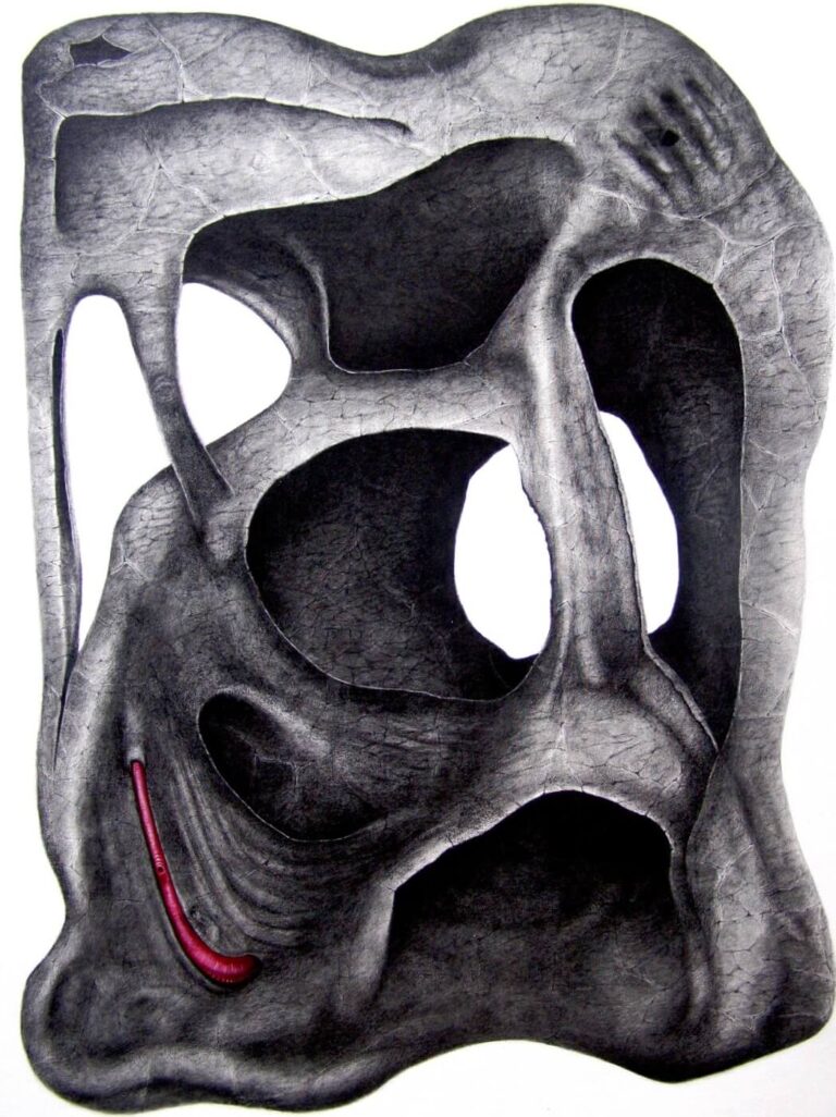An anatomical illustration of a human pelvic bone with a red curved structure along the lower edge, highlighting a nerve-like pathway.