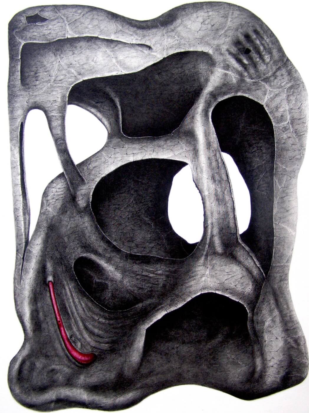 An anatomical illustration of a human pelvic bone with a red curved structure along the lower edge highlighting a nerve like pathway
