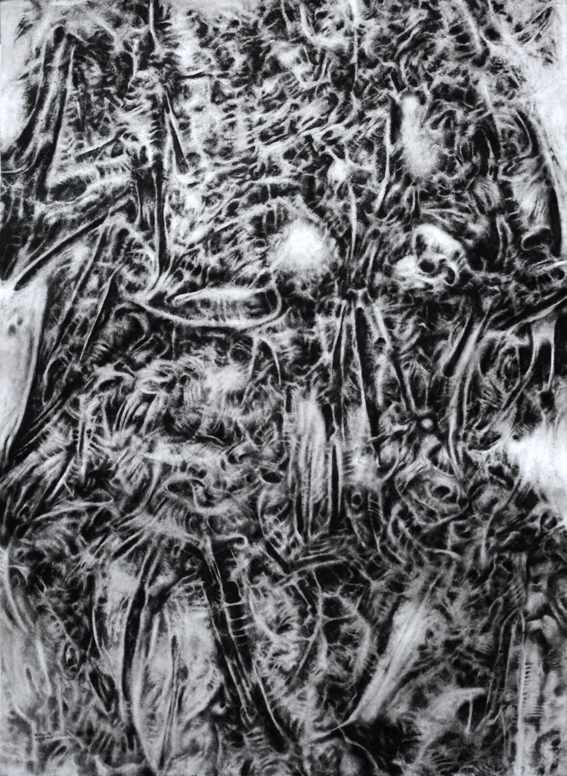 Abstract black and white texture with tangled fibrous patterns and swirling lines