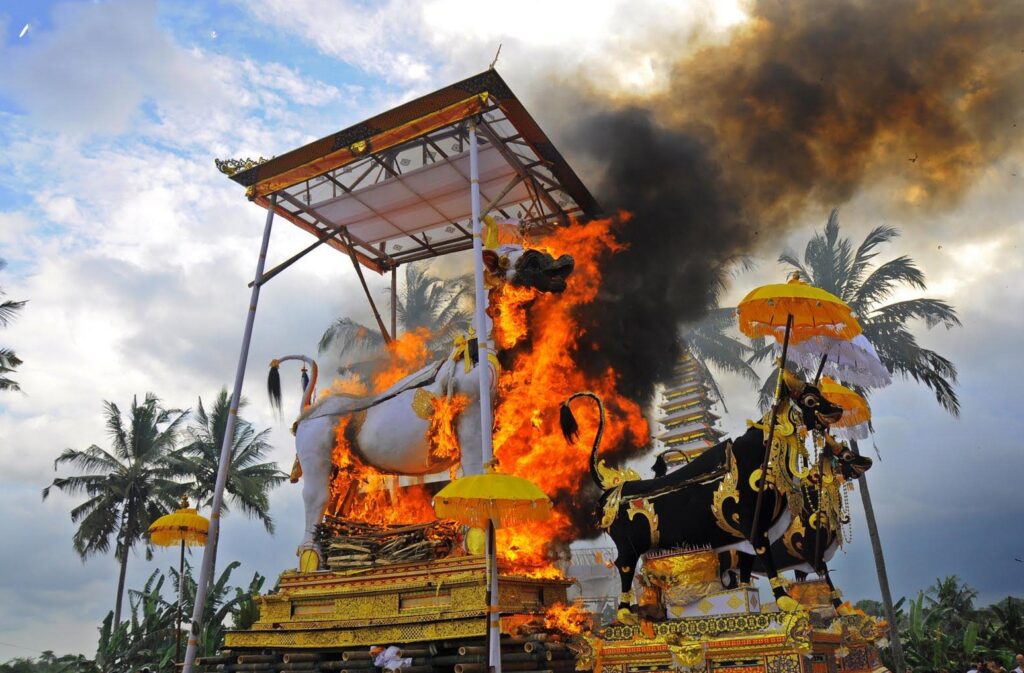 100upacarangabendalamagamahindu catrawarta A richly decorated ceremonial float with white and black bull statues engulfed in flames during a festival palm trees in the background