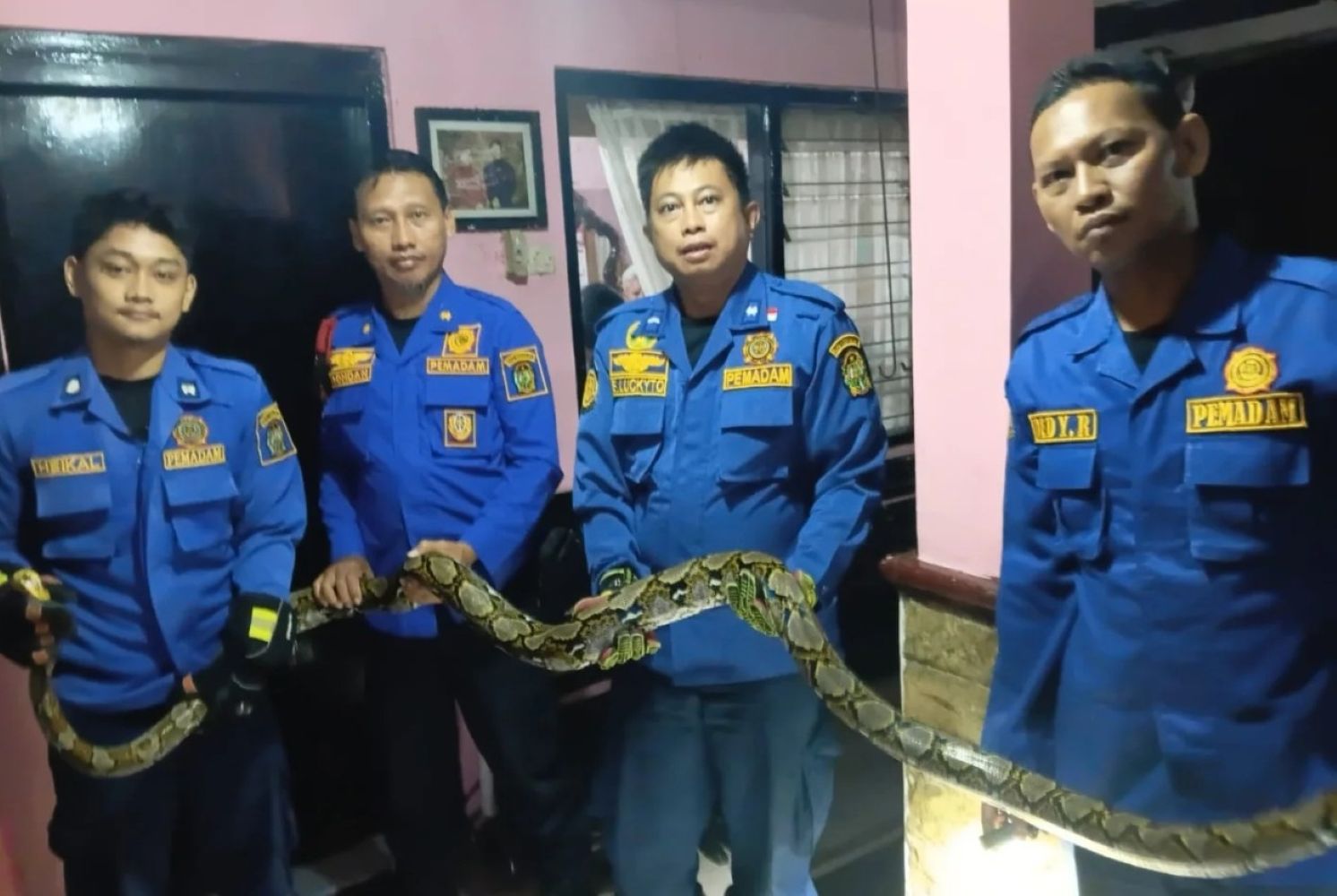 15fdamkar catrawarta Four men in blue rescue uniforms indoors holding a long snake together across a railing