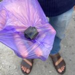 Teror pada Tiyo Ardianto Tak Pernah Berhenti