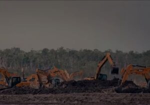 Papua Jadi Sorotan Dunia, Perlu Investigasi Independen