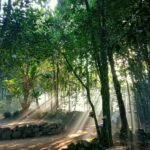 Perencanaan Desa Wisata