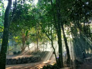 Perencanaan Desa Wisata