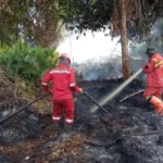 Pemerintah kota pekanbaru riau resmi menetapkan status siaga darurat bencana kebakaran hutan dan lahan karhutla hingga 30 november 2026