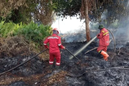 Pemerintah Kota Pekanbaru, Riau, resmi menetapkan status Siaga Darurat Bencana Kebakaran Hutan dan Lahan (Karhutla) hingga 30 November 2026