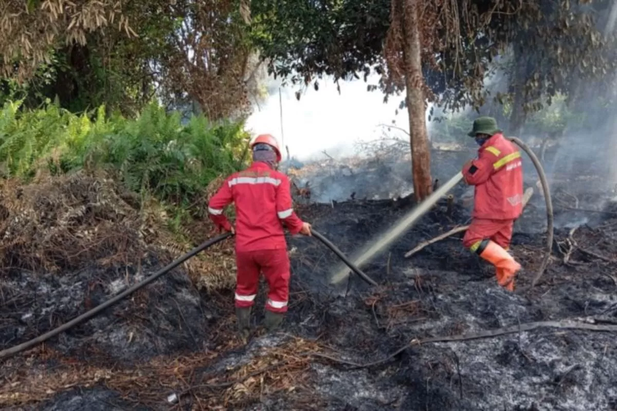 Pasukan manggala agni catrawarta Pemerintah kota pekanbaru riau resmi menetapkan status siaga darurat bencana kebakaran hutan dan lahan karhutla hingga 30 november 2026