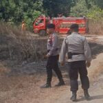 Lahan 2.000 Meter di Bantul Terbakar Hanya Karena Puntung Rokok, Waspadai Kemarau Jadi Pemicu Utama