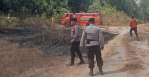 Lahan 2.000 Meter di Bantul Terbakar Hanya Karena Puntung Rokok, Waspadai Kemarau Jadi Pemicu Utama