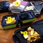 Open suitcase on a wooden floor filled with gold bars stacked inside labeled with yellow evidence tags 1 2 3 4 Other suitcases surround it