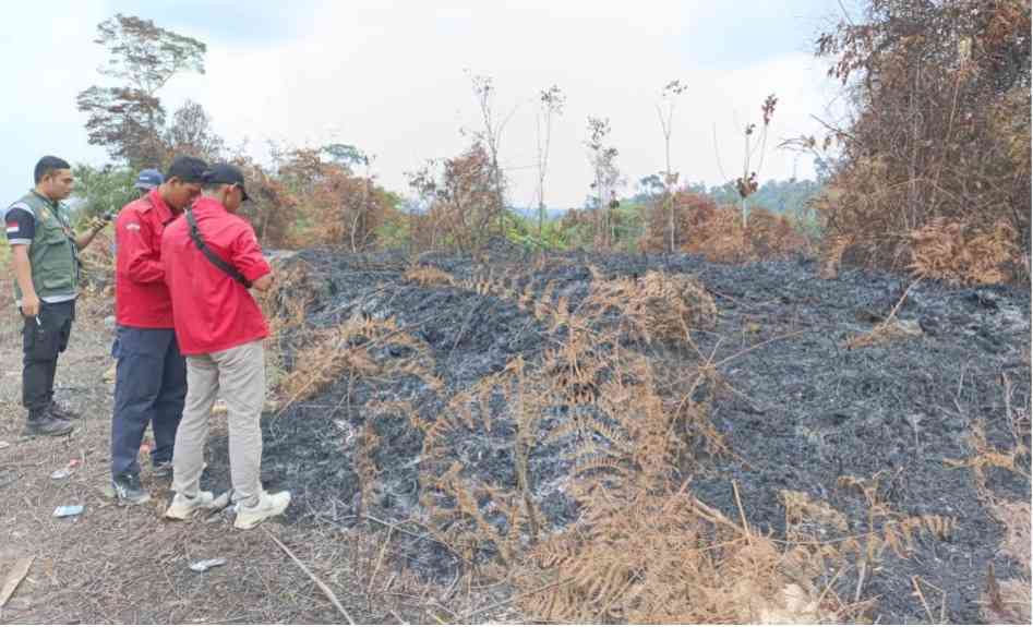 Three men in red jackets inspect a recently burned charcoal gray field with charred vegetation