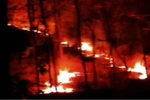 Kebakaran Lahan dan Hutan di Gunungkidul, Tahun ini Sudah 15 Kali