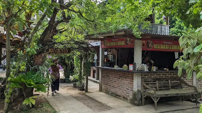 Rumah budaya jatisemi di semin gunungkidul