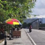 Penjual walang goreng di kawasan tahura gunungkidul mempertahankan usaha di tengah populasi belalang yang semakin menurun