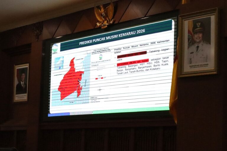 Pemerintah Provinsi Kalimantan Selatan belum menetapkan status siaga darurat kebakaran hutan dan lahan (karhutla).