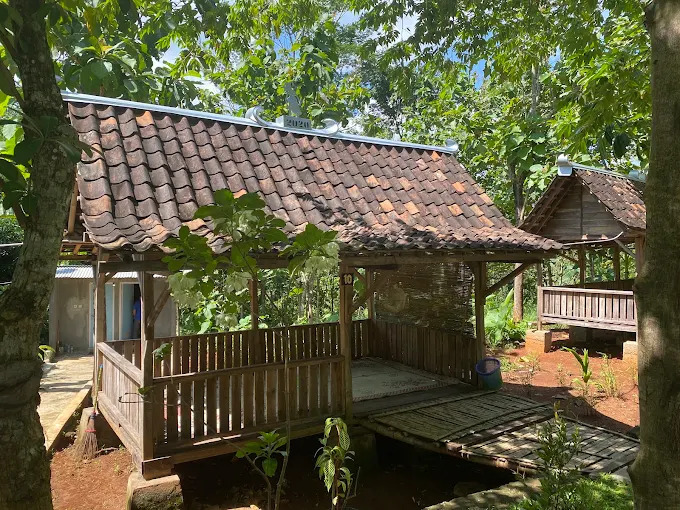 Two wooden huts with brown tiled roofs sit in a leafy garden connected by a wooden deck and shaded by trees