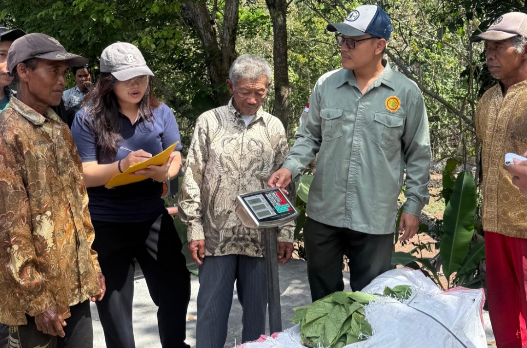 Group of people outdoors gathered around a digital scale weighing green leaves or crops on a tablecloth covered surface