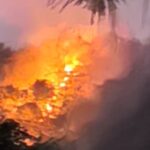 Kebakaran Hutan di Imogiri Hanguskan 8 Hektare, Petugas Padamkan Api Manual